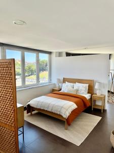 Alameda Apartment