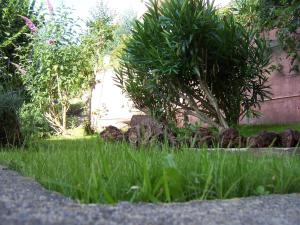 Hotels Hotel Saint Jacques : photos des chambres