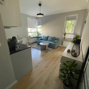 Przytulny apartament na Dolnej