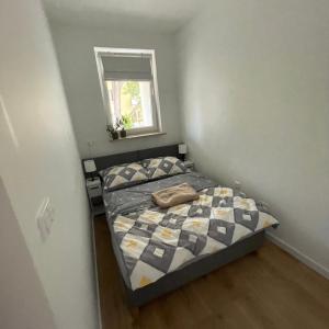 Przytulny apartament na Dolnej