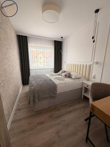 Apartament 15