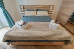 Viridis House Albano Laziale
