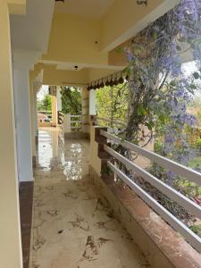Golden Villa on NH-8 Rewari, Home away from Home, Nature Kissed