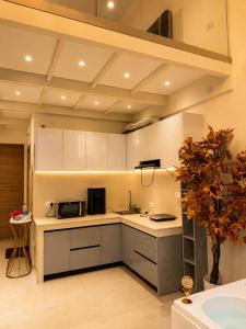 Luxury duplex with jacuzzi in Gurugram stay