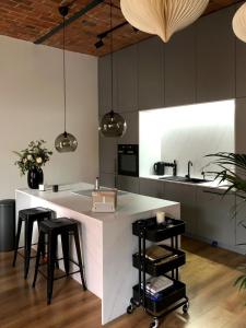 Loft Fabryczna Apartament & Parking