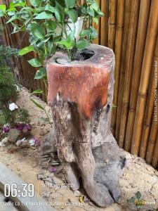 KHÁCH Sản A PÁO