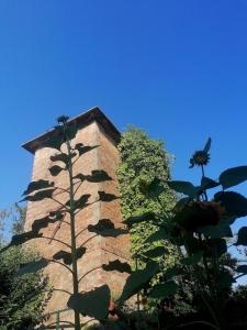 La Torretta - Cozy apartment with garden