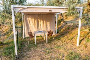 Botte Toscana in Oliveta - Idromassaggio Privato - Vista Mozzafiato