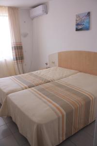 Alba Family Club Hotel