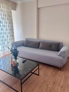 Koza Suites