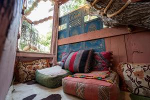 Adams Tree House