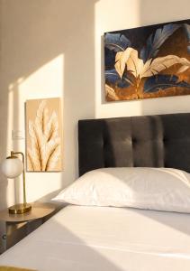 Vega Suite