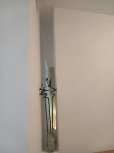 La Corte dei Luisitt