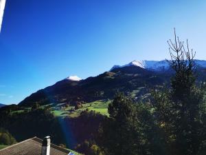 Cozy, sunny apartment, Interlaken region