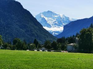 Cozy, sunny apartment, Interlaken region