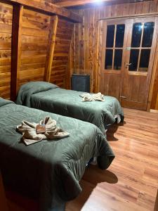 Olly Patagonia Suites