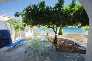 Beachfront Studio