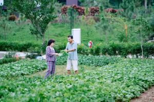 Soc Village Wellness & Retreat