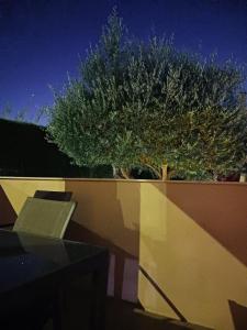 Casa Martin terrace and pool Burgau