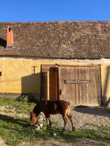 House by the Church - entire house