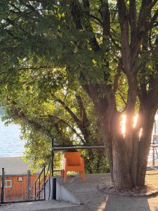 Sava River House
