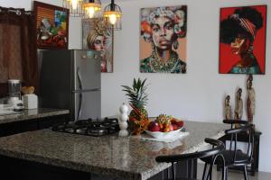 Casa Agouti