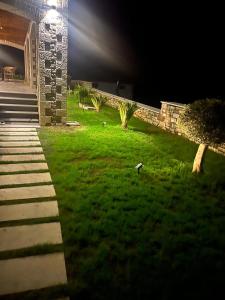 Vila Iliri