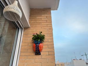 Santa Pola City Center Apartment