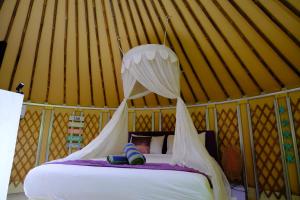 Nomads Yurt