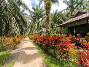 Khao Sok Palm Garden Resort