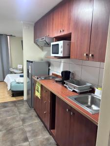 Departamento Santiago centro # 6