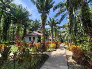 Khao Sok Palm Garden Resort