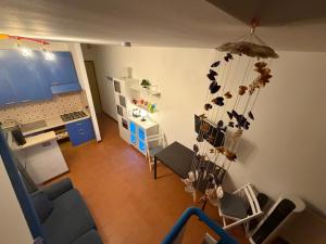 Bibione Landora Nummer 141