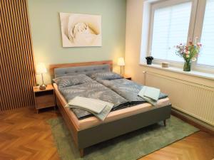 Apartmán 100