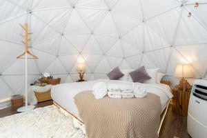 Morning Star Glamping
