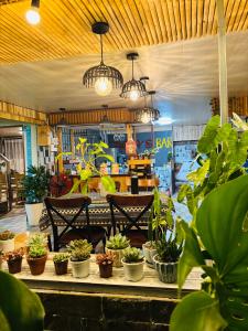 Homestay Hẻm