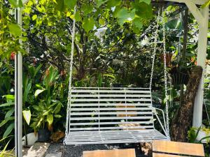 Homestay Hẻm