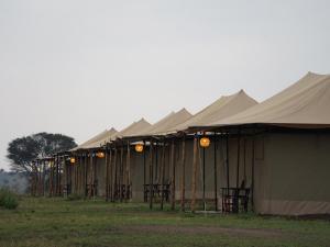 Adimu Mara Camp
