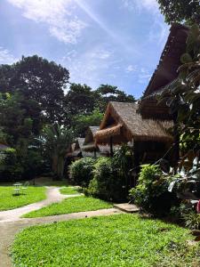 Jungle Garden