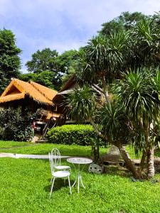 Jungle Garden