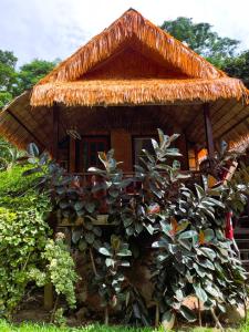 Jungle Garden