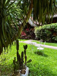 Jungle Garden