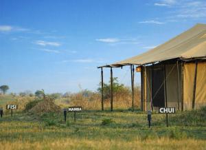 Adimu Mara Camp