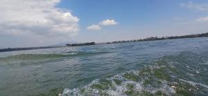Buffalo Boat Safaris