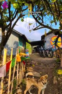 Yatri Homestay
