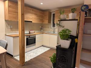 Green Oasis ApartmenT
