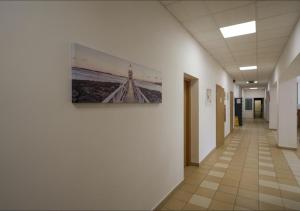 Hostel Milana