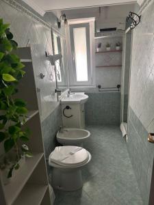 white home exclusive