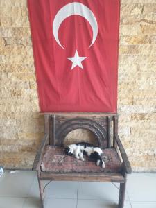 Hera city hotel