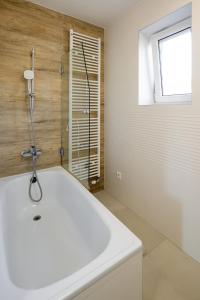 Stay in Piešťany Business 2BR